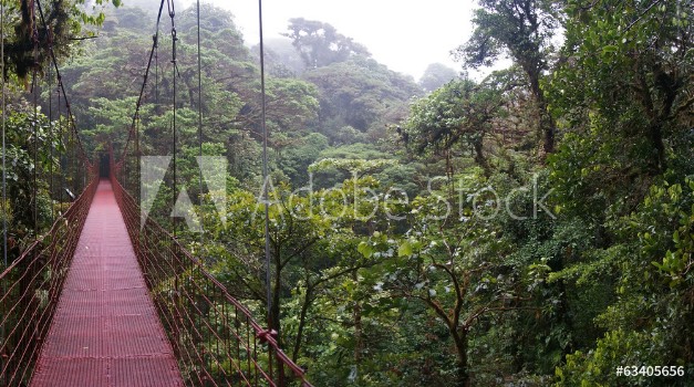 Bild på Suspended Bridge at Monteverde